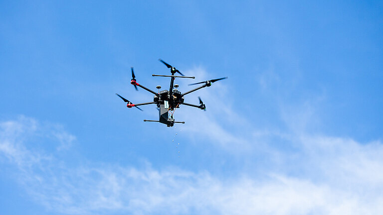 QUNDIS-Baumpaten-Pflanzaktion