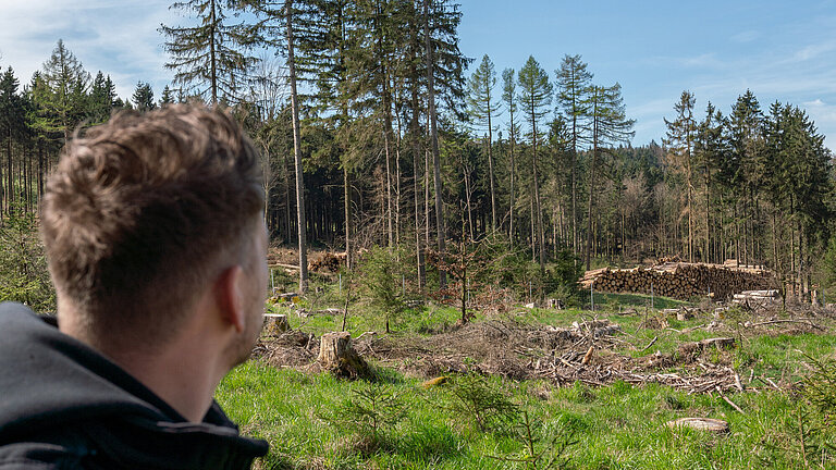 QUNDIS-Baumpaten-Pflanzaktion