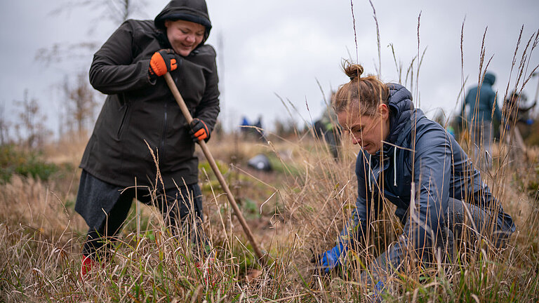 QUNDIS-Baumpaten-Pflanzaktion